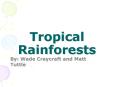Tropical Rainforests PowerPoint PPT Presentation