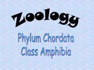 Zoology