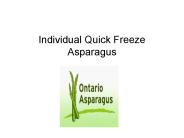 Individual Quick Freeze Asparagus