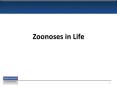Zoonotic disease- An infection or infectious disease transmissible under natural conditions (not in a laboratory) from vertebrate animals to human beings PowerPoint PPT Presentation