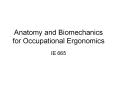 Anatomy and Biomechanics for Occupational Ergonomics PowerPoint PPT Presentation