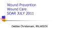 Wound Prevention Wound Care SOAR JULY 2011 PowerPoint PPT Presentation