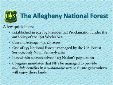 The Allegheny National Forest