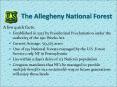 The Allegheny National Forest PowerPoint PPT Presentation