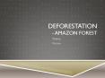 Deforestation - Amazon Forest PowerPoint PPT Presentation