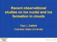 Recent observational studies on ice nuclei and ice formation in clouds PowerPoint PPT Presentation