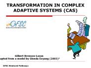 TRANSFORMATION IN COMPLEX ADAPTIVE SYSTEMS (CAS)