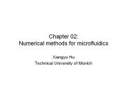 Chapter 02: Numerical methods for microfluidics