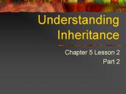 Understanding Inheritance