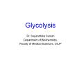 Glycolysis PowerPoint PPT Presentation