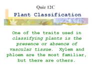 Plant Classification