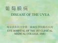 ? ? ? ?   DISEASE OF THE UVEA PowerPoint PPT Presentation