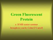 Green Fluorescent Protein