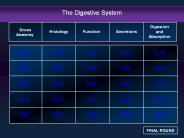 The Digestive System