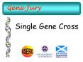 Gene Jury PowerPoint PPT Presentation