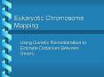 Eukaryotic Chromosome Mapping PowerPoint PPT Presentation