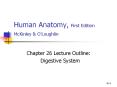 Human Anatomy, First Edition McKinley PowerPoint PPT Presentation