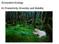 Ecosystem Ecology PowerPoint PPT Presentation