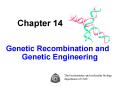 Genetic Recombination and Genetic Engineering PowerPoint PPT Presentation