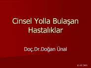 Cinsel Yolla Bulasan Hastaliklar