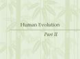 Human Evolution PowerPoint PPT Presentation