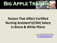 Factors That Affect Certified Nursing Assistant’s(CNA) Salary in Bronx & White Plains PowerPoint PPT Presentation