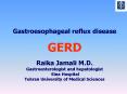 Gastroesophageal reflux disease  GERD Raika Jamali M.D. Gastroenterologist and hepatologist Sina Hospital Tehran University of Medical Sciences PowerPoint PPT Presentation