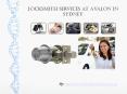 24 Hour Lockout Tricks and Locksmith Services at Avalon in Sydney PowerPoint PPT Presentation