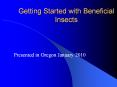 Getting Started with Beneficial Insects PowerPoint PPT Presentation