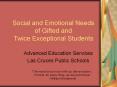 Social and Emotional Needs of Gifted and Twice Exceptional Students PowerPoint PPT Presentation