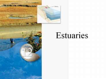 Estuaries