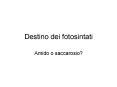 Destino dei fotosintati PowerPoint PPT Presentation