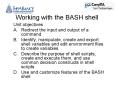 Working with the BASH shell PowerPoint PPT Presentation