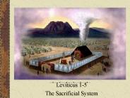 Leviticus 1-5