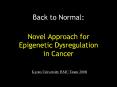 Novel Approach for Epigenetic Dysregulation in Cancer PowerPoint PPT Presentation