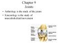 Chapter 9 Joints PowerPoint PPT Presentation