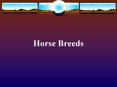 Horse Breeds PowerPoint PPT Presentation