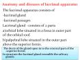 Anatomy and diseases of lacrimal apparatus PowerPoint PPT Presentation