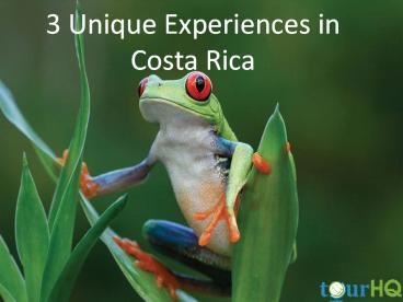 3 Unique Experiences in Costa Rica