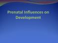 Prenatal Influences on Development PowerPoint PPT Presentation