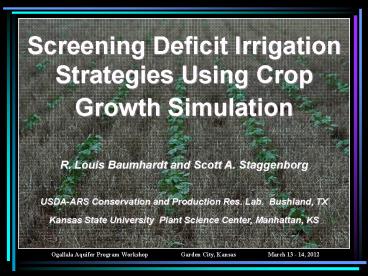 Screening Deficit Irrigation Strategies Using Crop Growth Simulation