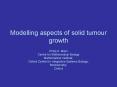 Modelling aspects of solid tumour growth PowerPoint PPT Presentation