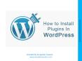WordPress Plugin Installation - Step by Step Guidelines PowerPoint PPT Presentation
