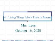 4.1 Living Things Inherit Traits in Patterns