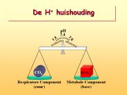 De H  huishouding