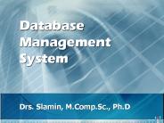 Database Management System