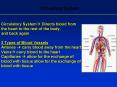 Circulatory System? Directs blood from the heart to the rest of the body; and back again 3 Types of Blood Vessels Arteries ? carry blood away from the heart Veins? carry blood to the heart Capillaries ? allow for the exchange of blood with tissue PowerPoint PPT Presentation