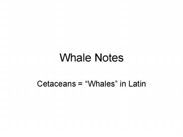 Whale Notes