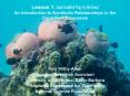 Lesson 1: Just Another Day in the Hood An Introduction to Symbiotic Relationships in the Coral Reef Ecosystem PowerPoint PPT Presentation