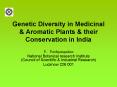 Genetic Diversity in Medicinal PowerPoint PPT Presentation